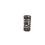 06E109623AB Engine Valve Spring